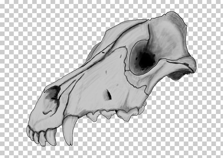 Dogo Argentino Skull Drawing Great Dane Dog Anatomy PNG, Clipart, Animal, Black And White, Bone, Deviantart, Dog Free PNG Download