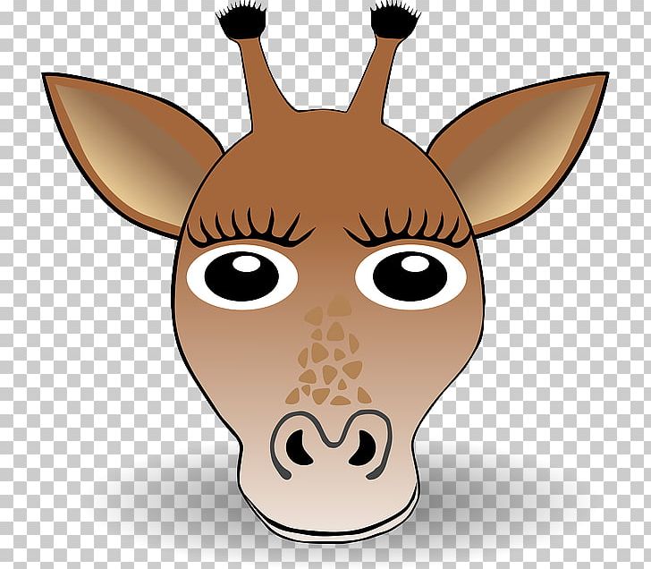 Giraffe PNG, Clipart, Animals, Blog, Document, Face, Fauna Of Africa Free PNG Download