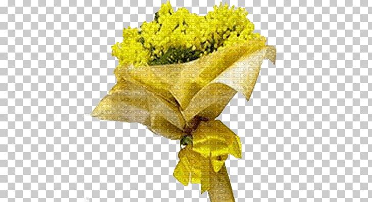 International Women's Day Woman Flower Acacia Dealbata Mimosa PNG, Clipart, 8 March, Acacia Dealbata, Christmas, Cut Flowers, Flower Free PNG Download