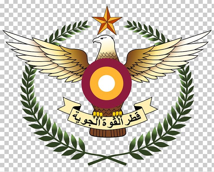Qatar Air Force Aircraft Military PNG, Clipart, Aircraft, Air Force, Angkatan Bersenjata, Army, Aviation Free PNG Download