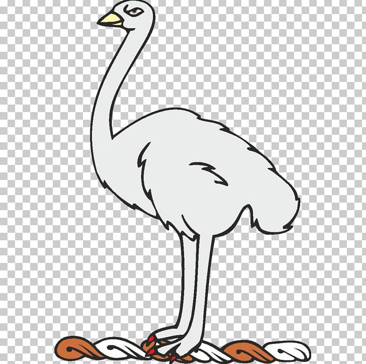 Common Ostrich Bird Beak Line Art PNG, Clipart, Animal, Animal Figure, Animals, Artwork, Beak Free PNG Download
