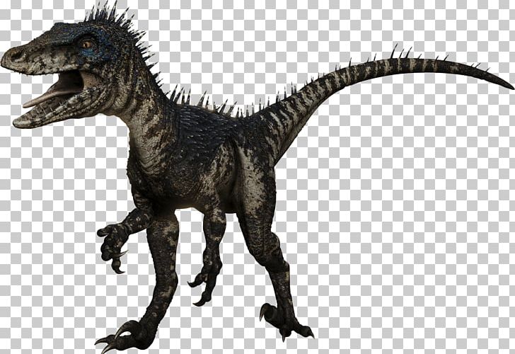 Deinonychus Albertosaurus Velociraptor Spinosaurus Deinosuchus PNG, Clipart, Albertosaurus, Animal Figure, Deinonychus, Dinosaur, Dromaeosauridae Free PNG Download