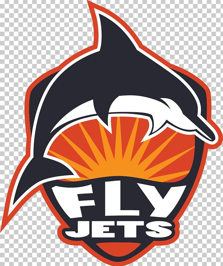 FlyJets Flyboard Flight Hoverboard Retail PNG, Clipart, Artwork, Brand, Extreme Sport, Flight, Flyboard Free PNG Download
