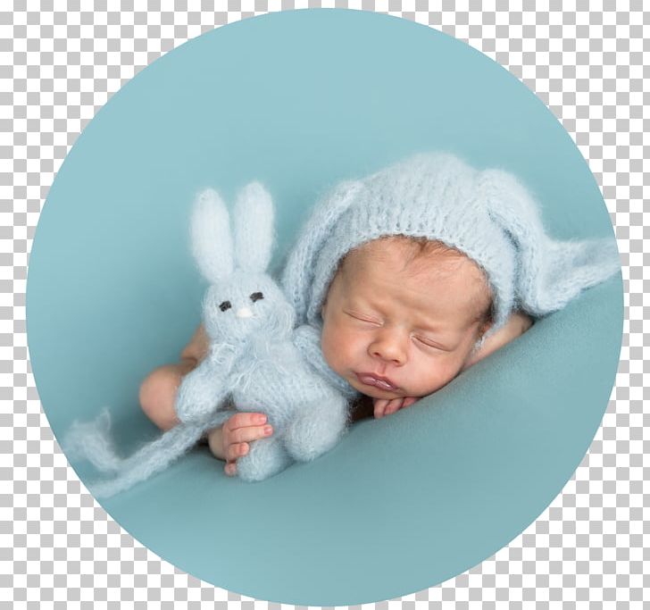 Infant Domestic Rabbit Fotografie Christa Nerinckx Stuffed Animals & Cuddly Toys Easter Bunny PNG, Clipart, Child, Communion, Domestic Rabbit, Easter, Easter Bunny Free PNG Download