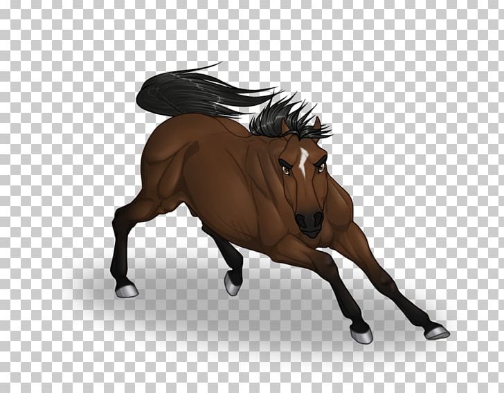 Mustang Stallion Pony Rein Bridle PNG, Clipart, Animal, Bridle, Halter, Horse, Horse Harness Free PNG Download