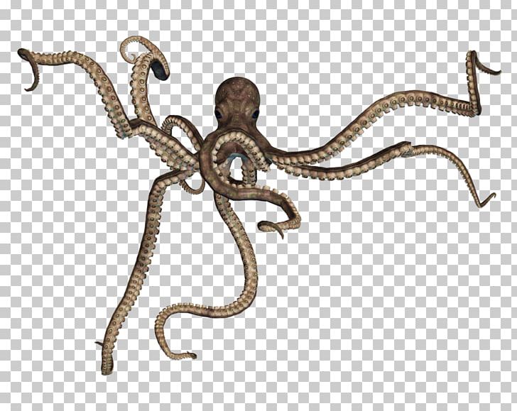 Octopus PNG, Clipart, Octopus Free PNG Download