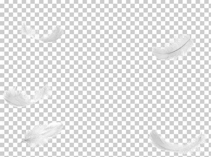White Feather Bird PNG, Clipart, Animals, Bird, Black, Black And White, Closeup Free PNG Download