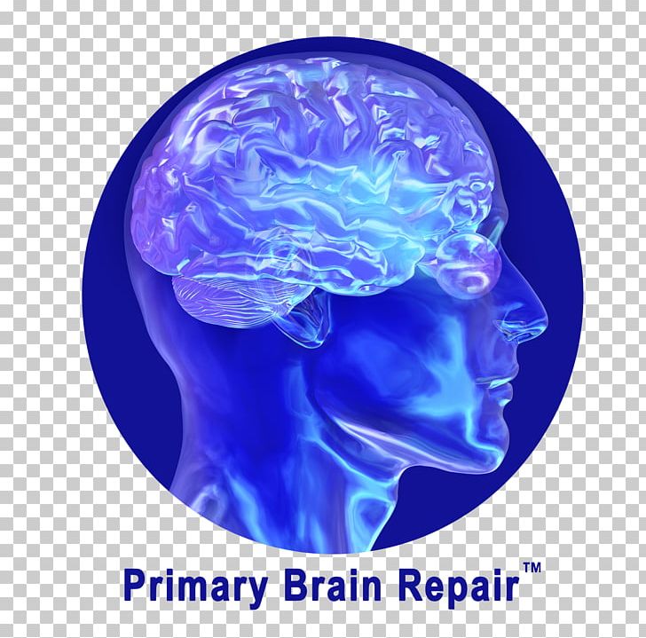 Human Brain Brain Injury Brain Repair Drug PNG, Clipart, Brain, Brain Injury, Drug, Electric Blue, Head Free PNG Download