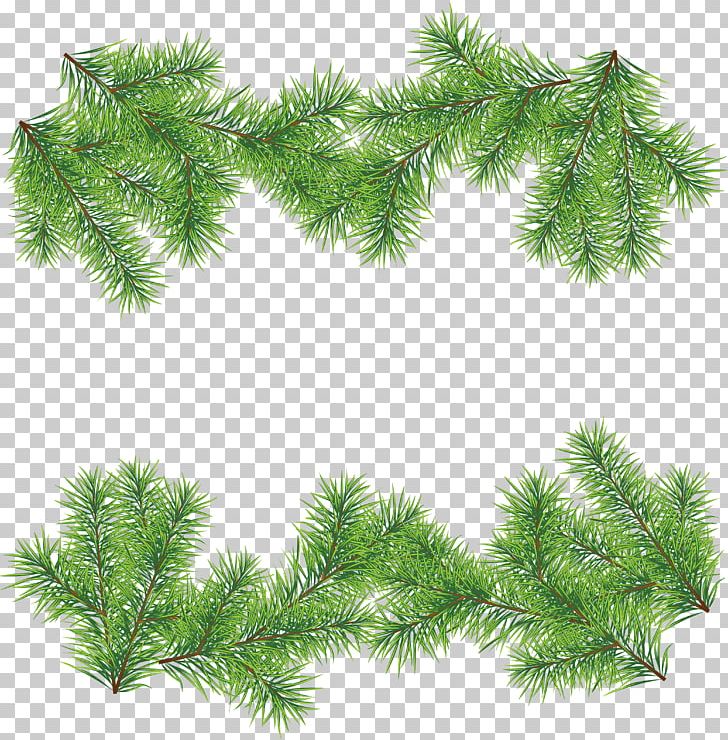 Christmas Tree PNG, Clipart, Biome, Branch, Christma, Christmas, Christmas Decoration Free PNG Download