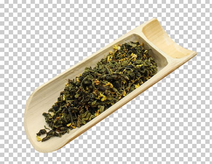 Flowering Tea Oolong Green Tea Tea Bag PNG, Clipart, Black Tea, Coldbrewed Tea, Devilwood, Dish, Features Free PNG Download