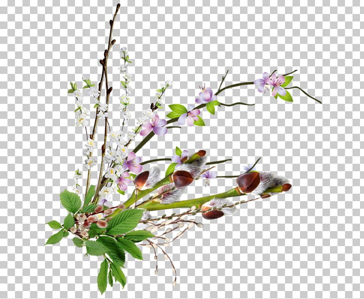 Cut Flowers Centerblog 0 Plant Stem PNG, Clipart, 15 May, 20 May, 2017, Blog, Blossom Free PNG Download