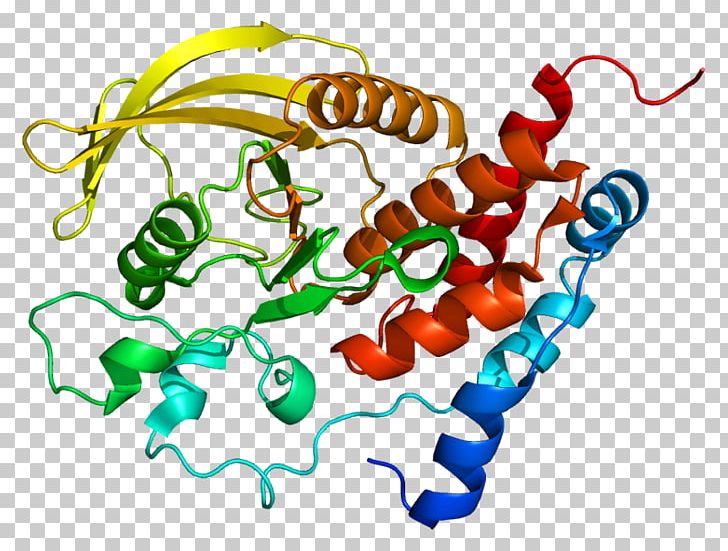 Protein Tyrosine Phosphatase Gene Receptor PNG, Clipart, Area, Artwork, Enzyme, Gene, Kinase Free PNG Download