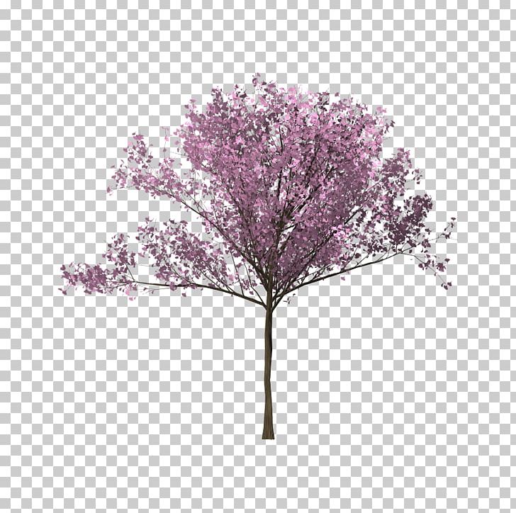 Tree Cherry Blossom Twig Branch PNG, Clipart, Animation, Arecaceae, Blossom, Branch, Bunga Free PNG Download