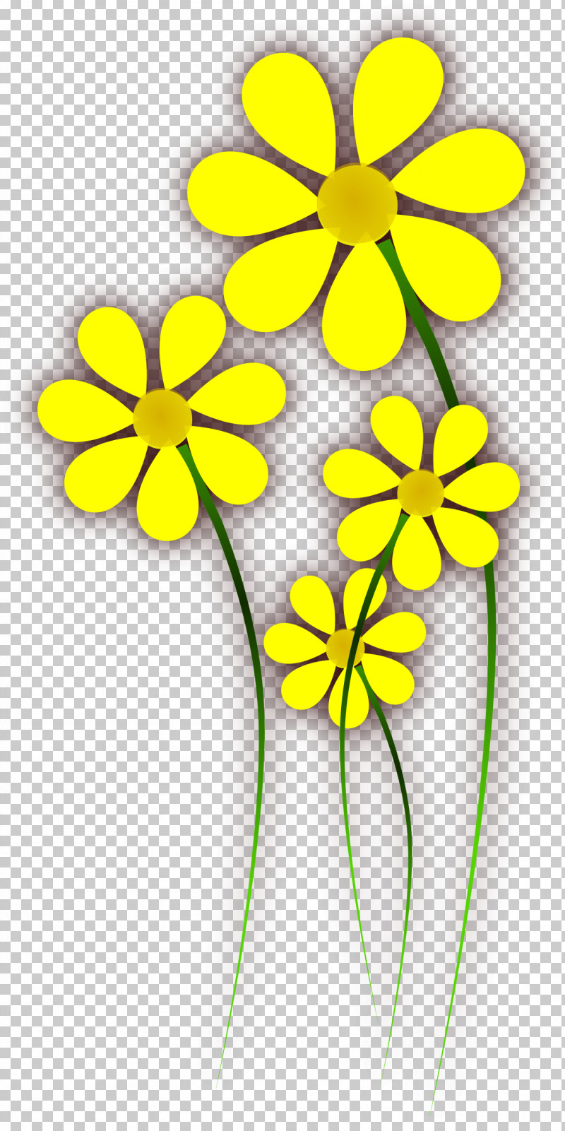Yellow Flower Plant Petal Pedicel PNG, Clipart, Flower, Pedicel, Petal, Plant, Plant Stem Free PNG Download
