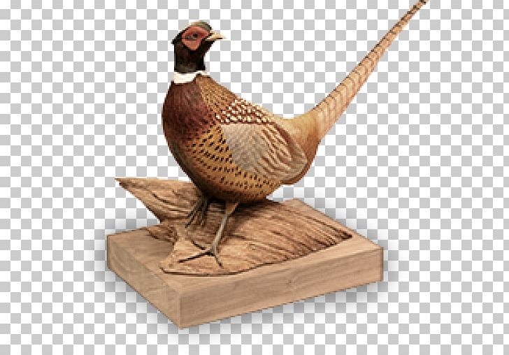 Bird Bill Rice Artwork Galliformes Chicken PNG, Clipart, Animals, Art, Art Museum, Beak, Bird Free PNG Download