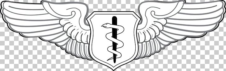 U.S. Air Force Aeronautical Rating 0506147919 United States Aviator Badge Badges Of The United States Air Force PNG, Clipart, 0506147919, Angle, Bird, Fictional Character, Flight Surgeon Free PNG Download