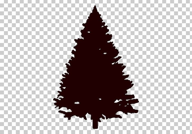Fir Pine Tree Conifers Evergreen PNG, Clipart, Black And White, Christmas, Christmas Decoration, Christmas Ornament, Christmas Tree Free PNG Download