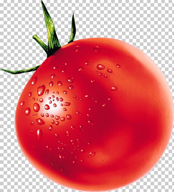 Tomato Vegetable Pomodoro Technique PNG, Clipart, Baking, Berry, Bush Tomato, Carrot, Christmas Ornament Free PNG Download