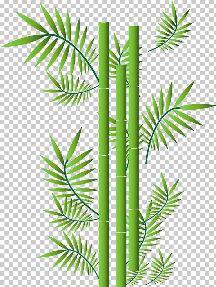 Tropical Woody Bamboos PNG, Clipart, Arecales, Bamboo, Bamboos, Borassus Flabellifer, Graphic Design Free PNG Download