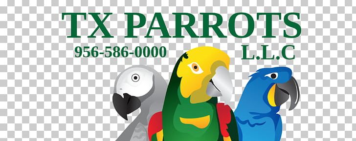 Macaw Parrot Beak Road PNG, Clipart, Advertising, Animals, Aviary, Beak, Bird Free PNG Download