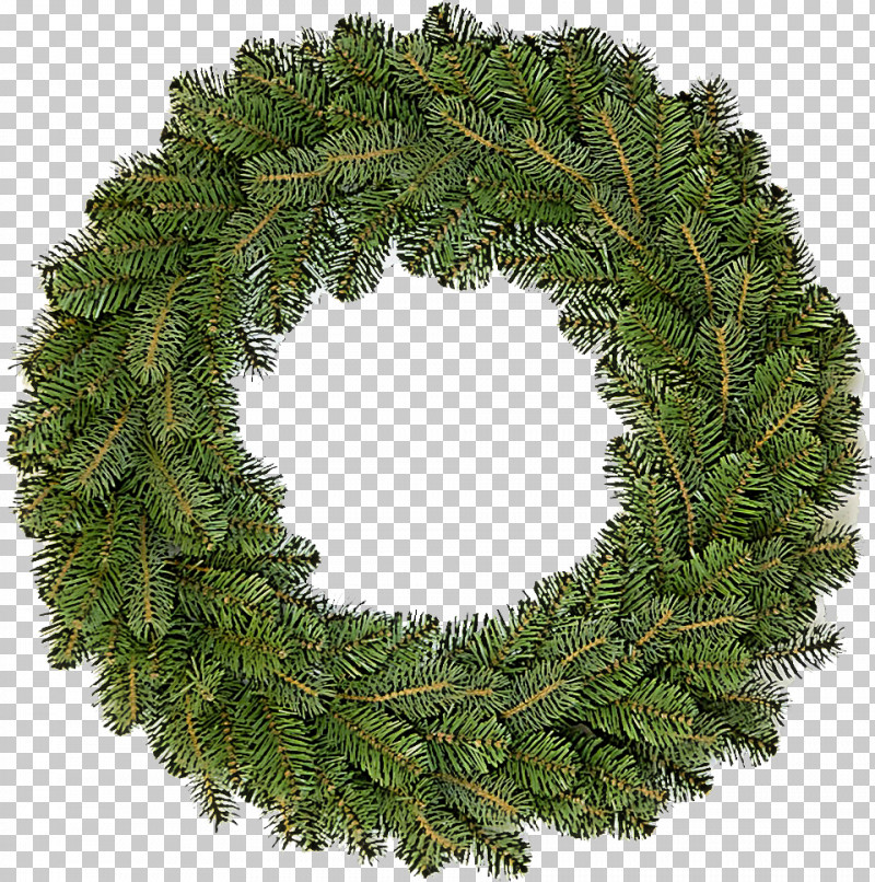 Christmas Decoration PNG, Clipart, American Larch, Branch, Christmas Decoration, Colorado Spruce, Conifer Free PNG Download