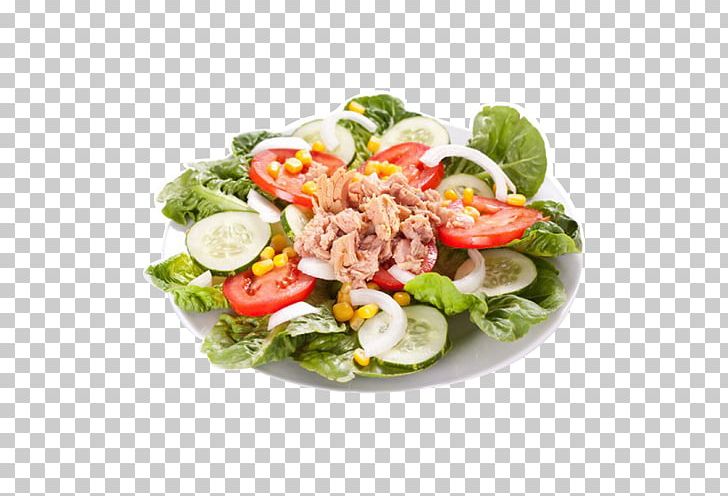 Tuna Salad Salad Nicoise Dish Lettuce PNG, Clipart, Caesar Salad, Cucumber, Cuisine, Dish, Egg Free PNG Download