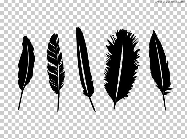 Feather Quill Silhouette PNG, Clipart, Animals, Black And White, Encapsulated Postscript, Feather, Leaf Free PNG Download