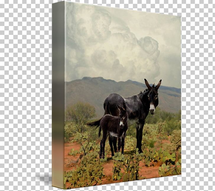 Mule Donkey Horse Burrito Art PNG, Clipart, Animal, Animals, Art, Artist, Burrito Free PNG Download