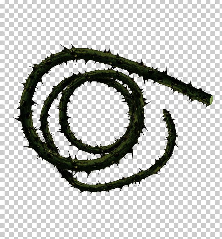 Whip Corpse Carrier Thorns PNG, Clipart, Chain, Chain Whip, Circle, Combat, Hardware Accessory Free PNG Download