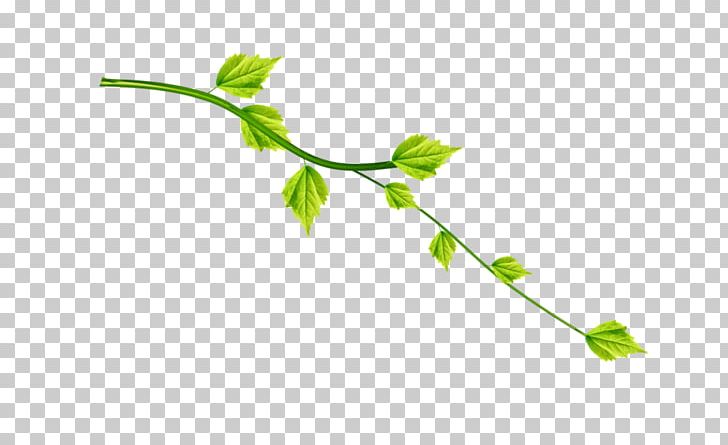 Biology Liana Жасушаның химиялық құрамы Class Plant Stem PNG, Clipart, Alena, Biology, Branch, Cell, Chemistry Free PNG Download