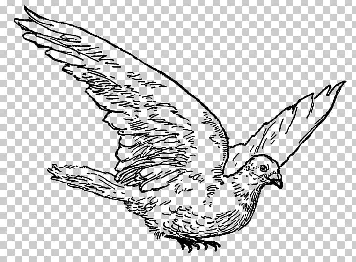 Drawing Line Art Bird PNG, Clipart, Animals, Art, Artwork, Beak, Bird Free PNG Download