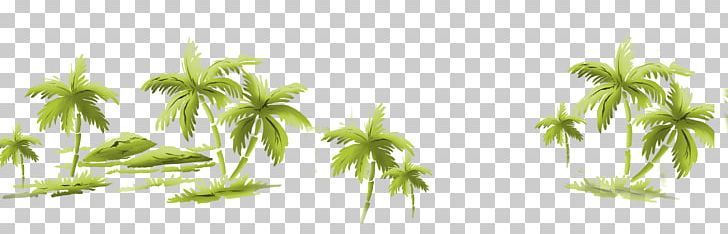 Floral Design Art Flower Illustration PNG, Clipart, Background Vector, Christmas Decoration, Coco, Coconut, Coconut Tree Free PNG Download