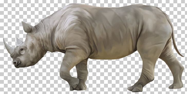 White Rhinoceros Black Rhinoceros PNG, Clipart, Animal, Animal Figure, Black Rhinoceros, Document, Fauna Free PNG Download