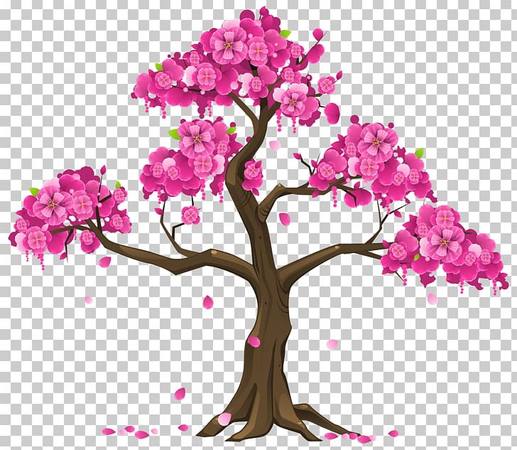 Cherry Blossom Tree Branch PNG, Clipart, Blossom, Branch, Cherry, Cherry Blossom, Cherry Blossom Tree Free PNG Download