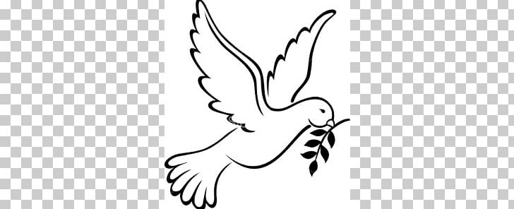 Columbidae Doves As Symbols PNG, Clipart, Art, Artwork, Beak, Bird, Black Free PNG Download