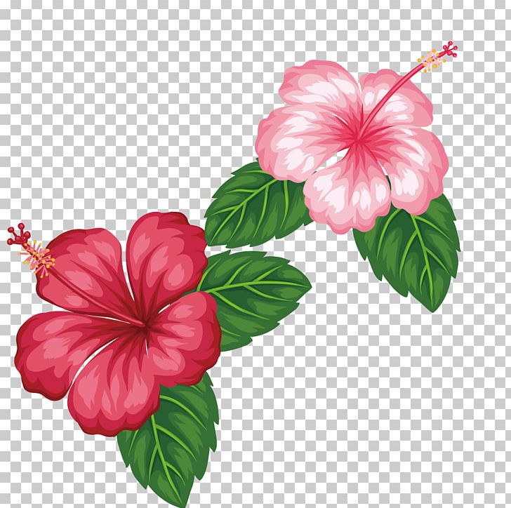 Flower Tropics PNG, Clipart, China Rose, Decorative Patterns, Element, Floral Design, Flower Arranging Free PNG Download