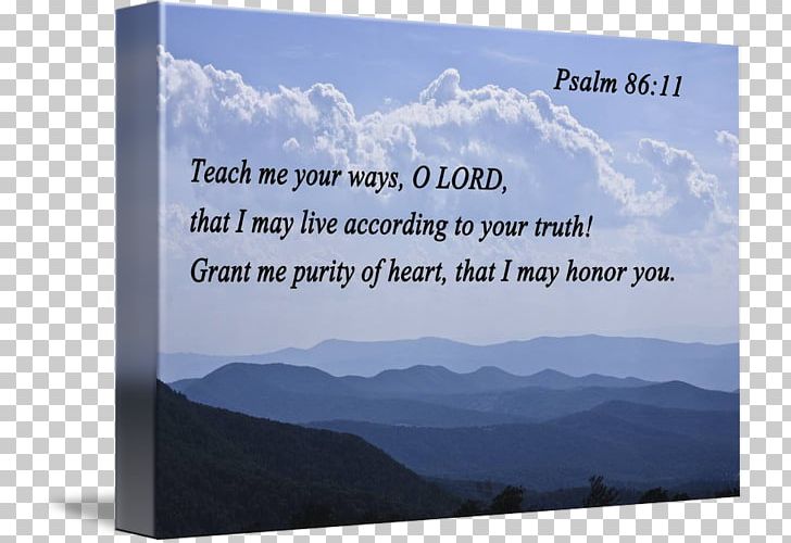 New International Version Psalms Keyword Research Google Trends Biblica PNG, Clipart, All Rights Reserved, Cloud, Cloud Computing, Copyright, Google Free PNG Download