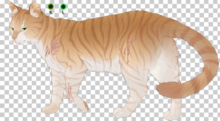 Whiskers Tiger Lion Wildcat PNG, Clipart, Animal, Animal Figure, Animals, Avian Veterinarian, Big Cats Free PNG Download