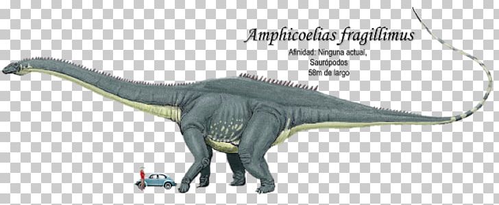 Amphicoelias Apatosaurus Brontosaurus Dinosaur Triceratops PNG, Clipart, Amphicoelias, Animal Figure, Apatosaurus, Argentinosaurus, Brontosaurus Free PNG Download