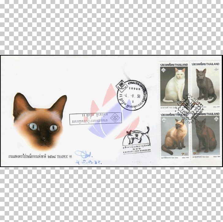 Dog Breed Puppy Khao Manee Leash PNG, Clipart, Animals, Breed, Burmese Cat, Carnivoran, Cat Free PNG Download