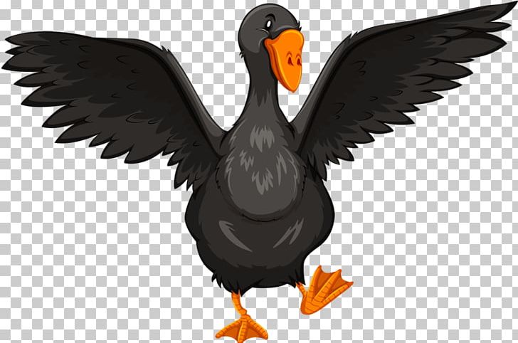 Duck Goose Illustration PNG, Clipart, Animals, Background Black, Beak, Bird, Black Free PNG Download