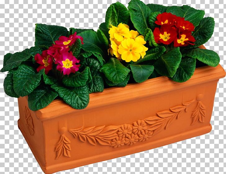 Flowerpot Stock Photography PNG, Clipart, Annual Plant, Benzersiz, Cut Flowers, Floral Design, Floristry Free PNG Download