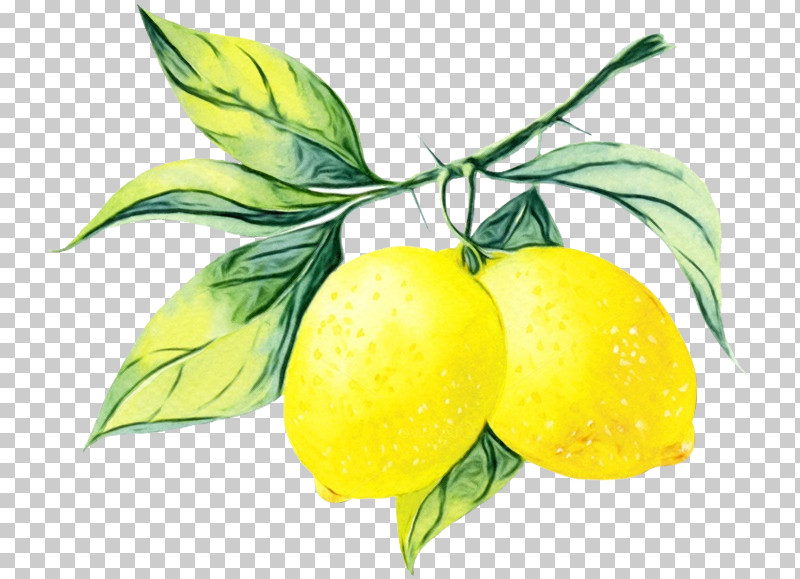 Lemon Juice PNG, Clipart, Bitter Orange, Citrus, Fruit, Juice, Lemon Free PNG Download
