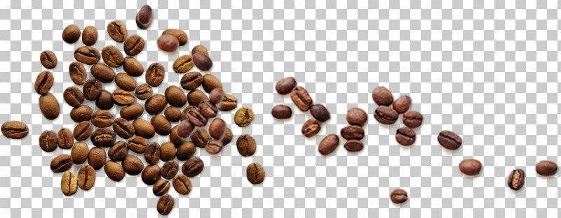 Food Plant Cubeb Seed Superfood PNG, Clipart, Caffeine, Cubeb, Food, Plant, Seed Free PNG Download