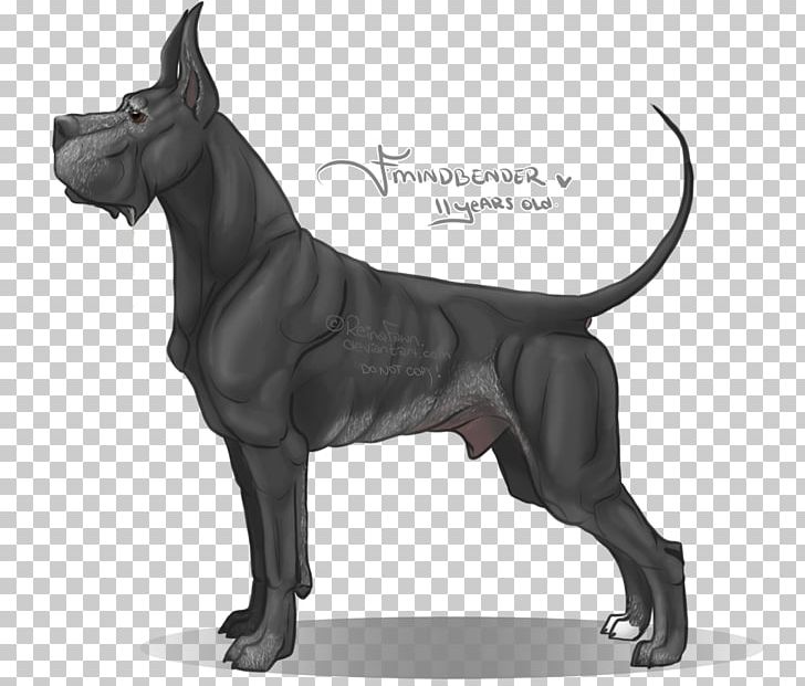 Great Dane Dog Breed Non-sporting Group Canidae Guard Dog PNG, Clipart, Animal, Breed, Canidae, Carnivora, Carnivoran Free PNG Download