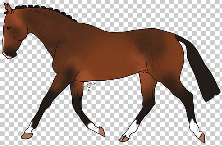 Mane Appaloosa Stallion Mustang Rein PNG, Clipart, Alexander The Great, Animal Figure, Bit, Bridle, Colt Free PNG Download