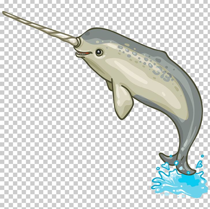 Narwhal Porpoise Dolphin Marine Mammal Cetacea PNG, Clipart, Animal, Animals, Cetacea, Dolphin, Fauna Free PNG Download