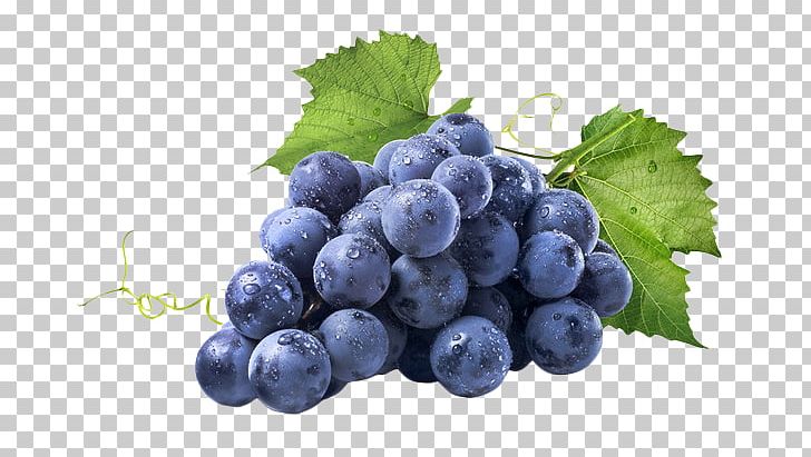 Red Wine Common Grape Vine Muscadine Grape PNG, Clipart, Bilberry, Blueberry, Food, Fruit, Fruit Nut Free PNG Download