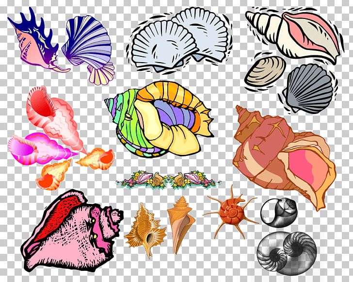 Seashell Invertebrate Animal DepositFiles Bird PNG, Clipart, Animal, Animals, Artwork, Bird, Depositfiles Free PNG Download