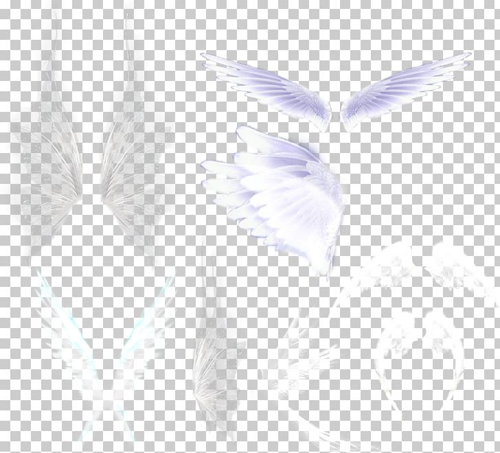 Feather Google S PNG, Clipart, Angel, Angle, Animals, Black White, Computer Free PNG Download